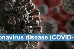 UN United Nations General FAQs and WHO on Covid-19 Coronavirus