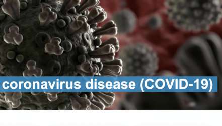 UN United Nations General FAQs and WHO on Covid-19 Coronavirus
