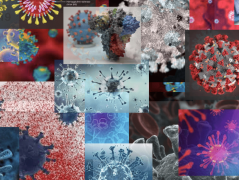 Coronavirus pandemic pushes pharma sales reps deeper into virtual space
