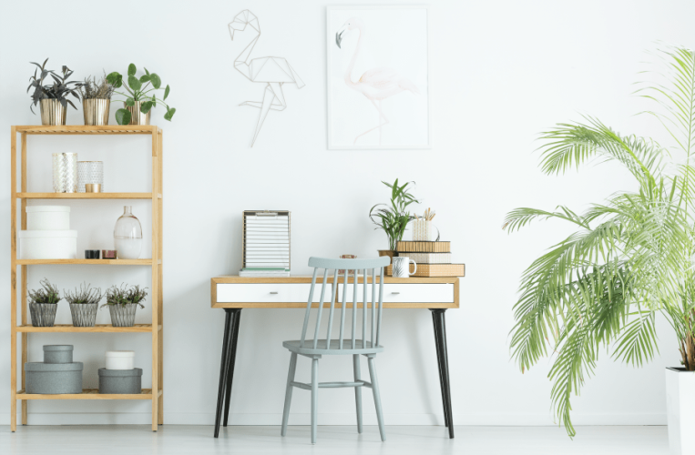 Plant Power: 10 Plants To Improve Wellbeing and Productive In Your Home Office