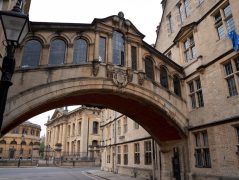 University Of Oxford’s TMCD And openbusinesscouncil To Co-Organize The International Investment and Innovation Forum On June, 25