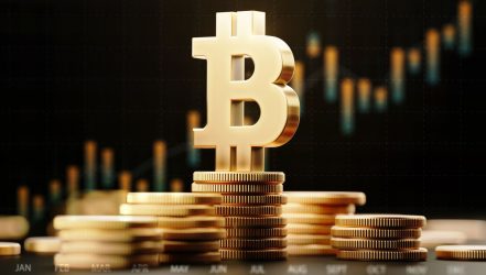 Crypto Investors Are In The Market For The Long-Term