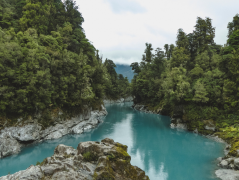 How To Plan A Great Trip To New Zealand
