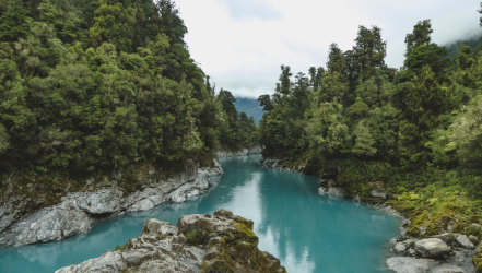 How To Plan A Great Trip To New Zealand