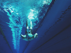 Swim School 101: Tips for Starting Your Own Business