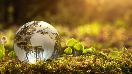 Navigating the Path to Net Zero Carbon: 5 Essential Measures for Businesses Envisioning a Sustainable Future