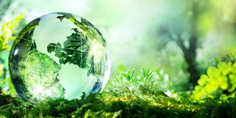 Funding A Sustainable Future: The Power Of Green Investments