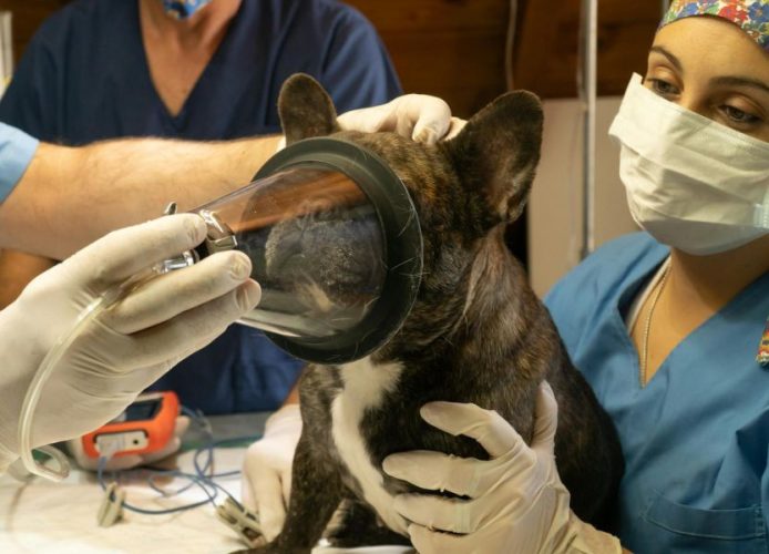 Essential Things Every Veterinary Clinic Must Have