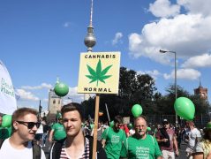 Germany Legalises Cannabis: The Future Of Healthcare In EU And The UK