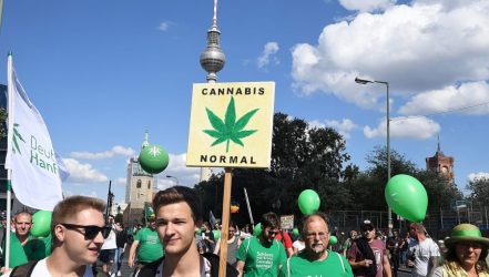 Germany Legalises Cannabis: The Future Of Healthcare In EU And The UK